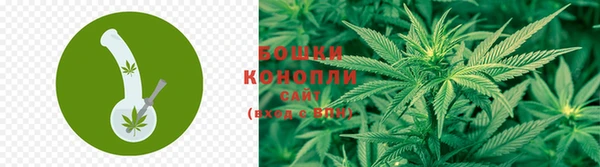 метамфетамин Белокуриха