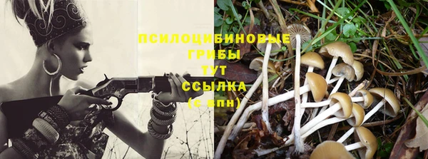 ALPHA PVP Белоозёрский