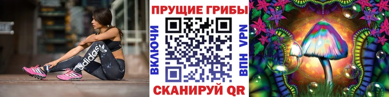 Купить  Дмитровск  Псилоцибиновые грибы ЛСД 